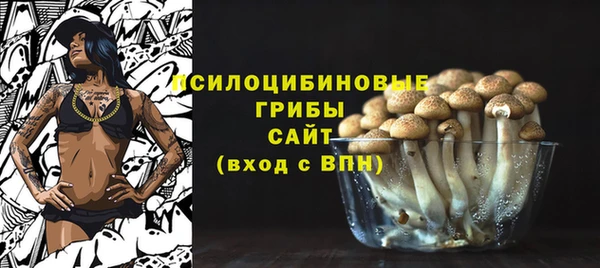 прущая мука Белокуриха