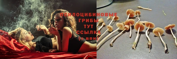 прущая мука Белокуриха